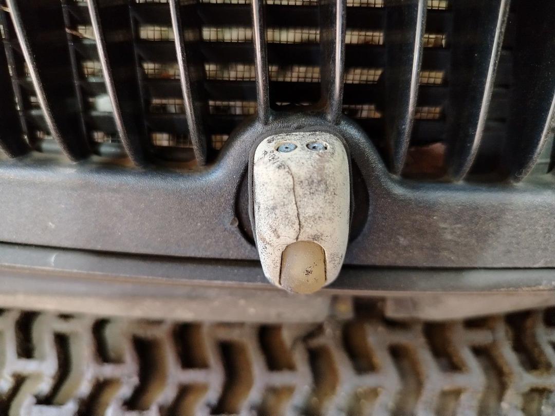 Дождевик Z7XJVM Chrysler Voyager - Фото 5