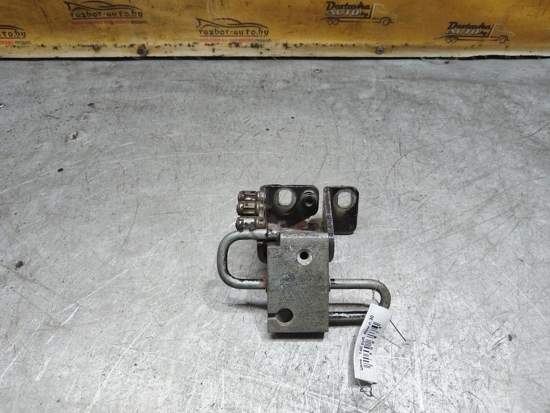 Петля двери передней левой 9I4ILG Volkswagen Golf купить с доставкой