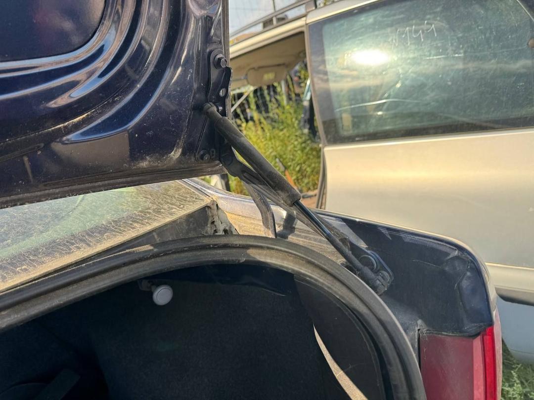 Петля крышки багажника OMB9KI Ford Focus купить