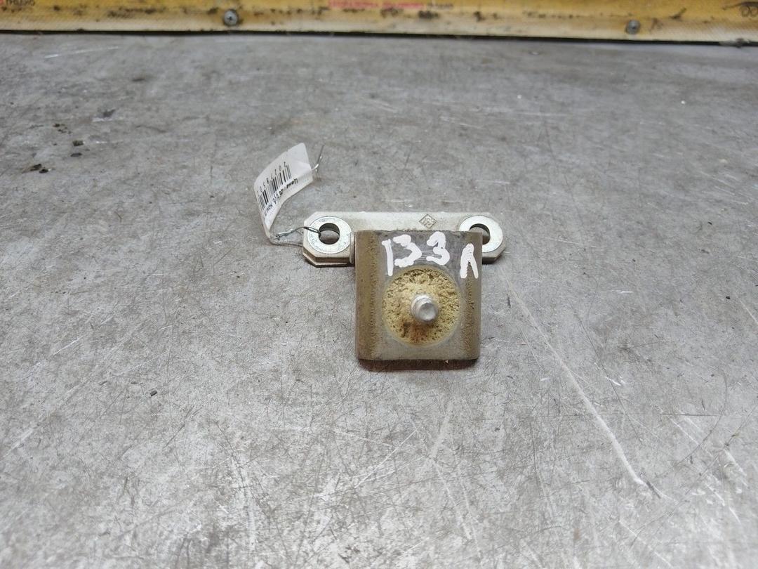 Петля крышки багажника QNKER8 Renault Scenic купить с доставкой