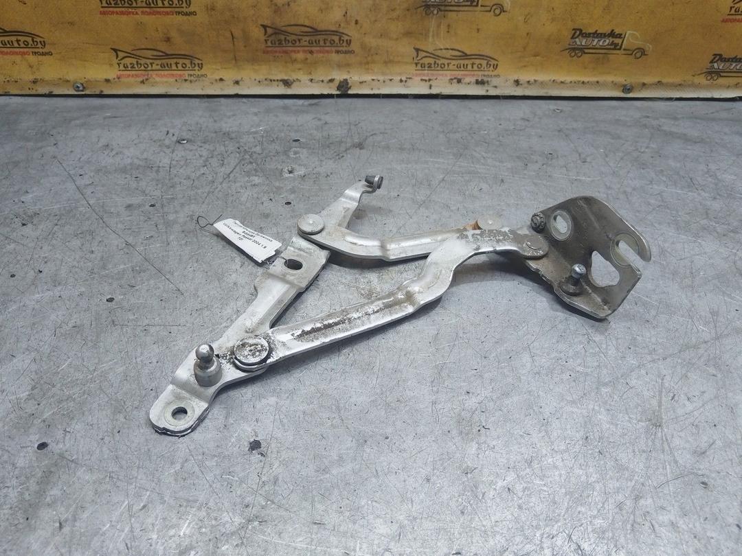 Петля крышки багажника SG84BX Volkswagen Passat