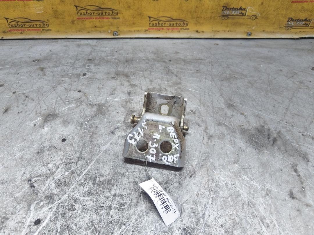 Петля двери задней левой RUNE2X Peugeot 307 - Фото 1