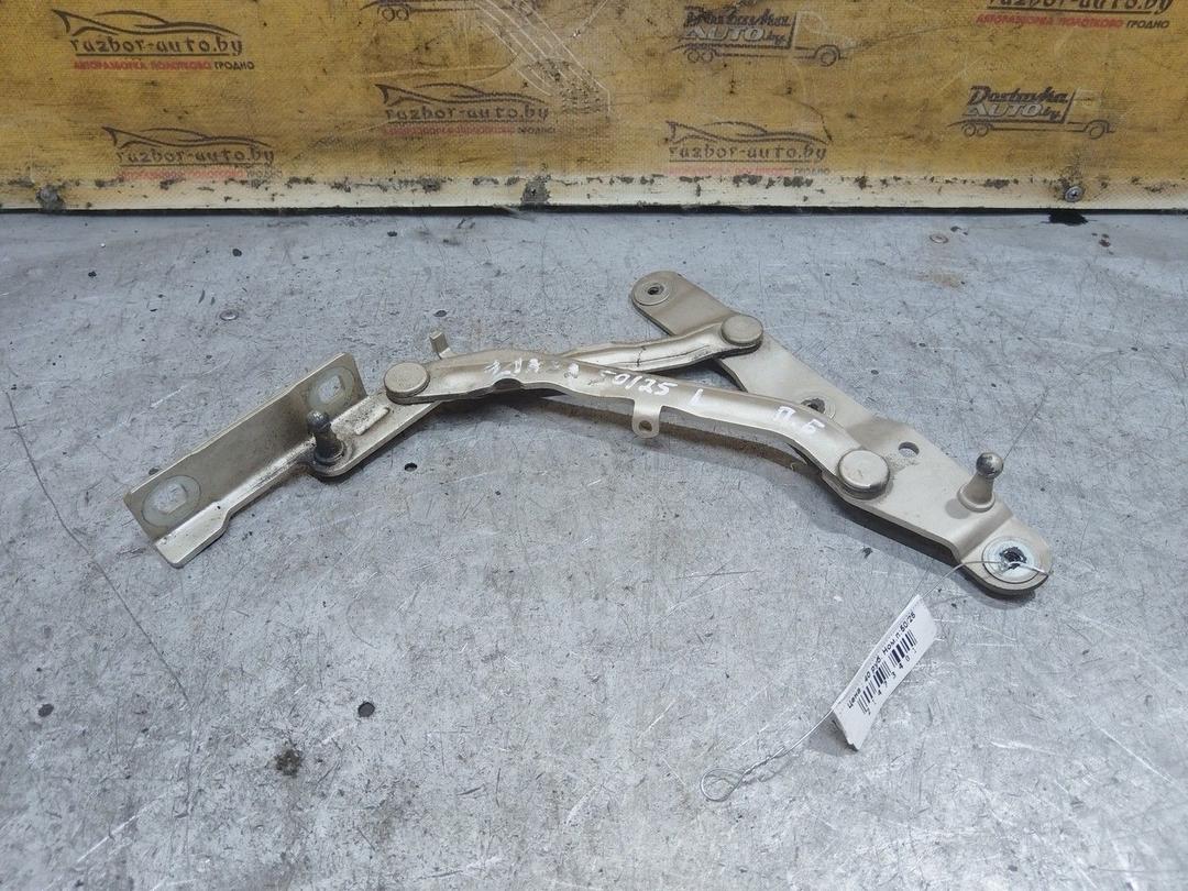 Петля крышки багажника 10IC6J Fiat Linea - Фото 3