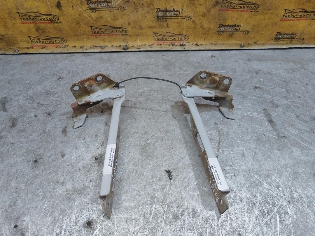 Петля капота TAB6ZS Kia Carnival - Фото 1