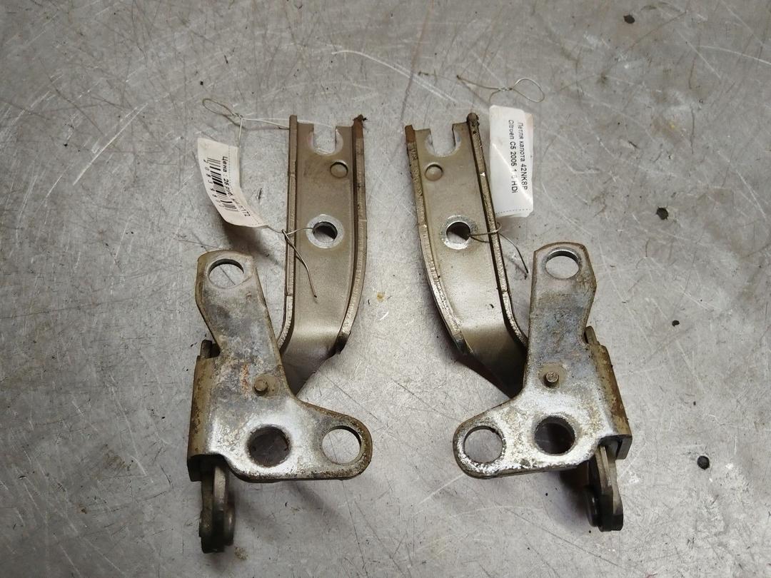 Петля капота 42NK8P Citroen C5 купить