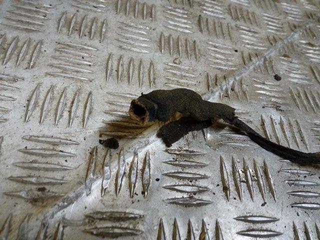 Стоп-сигнал KQB6X5 Opel Vectra купить с доставкой