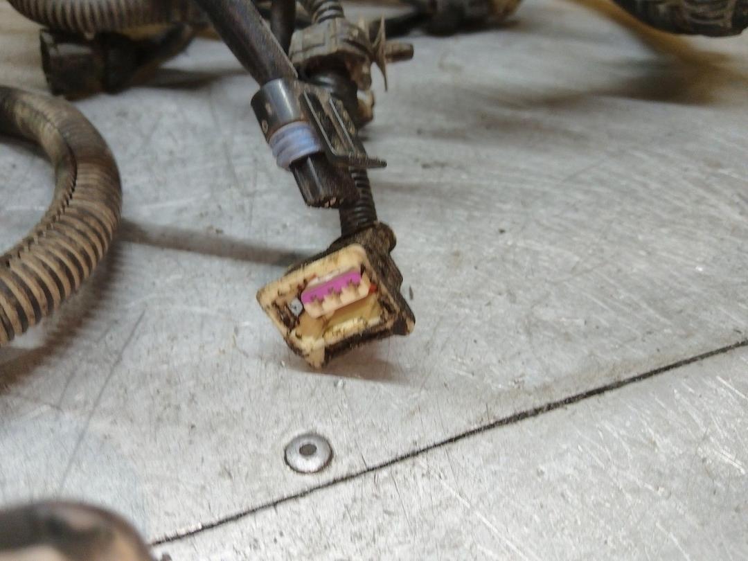 Проводка двигателя NWOS2X Citroen Xsara - Фото 3