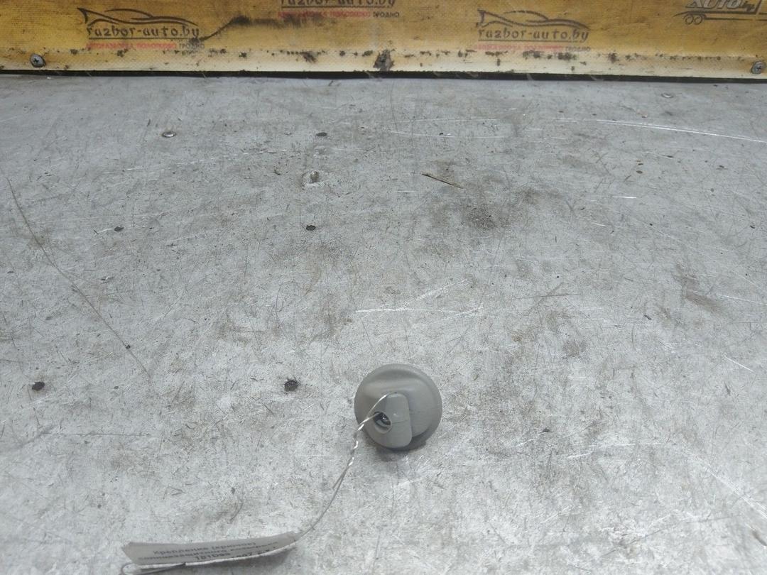 Крепление (крючок) солнцезащитного козырька 181D93 Renault Scenic