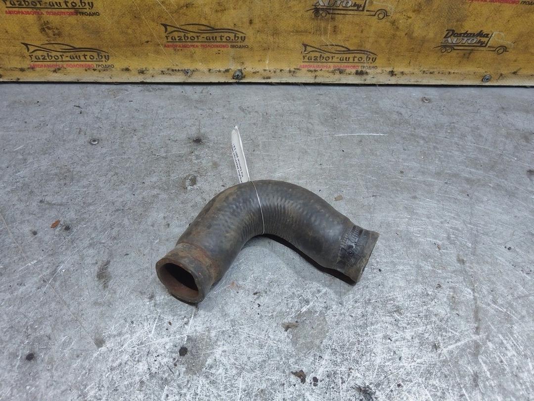 Патрубок радиатора N86ZVE Kia Carnival - Фото 1