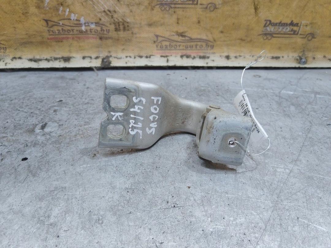 Петля крышки багажника 25C66C Ford Focus - Фото 3