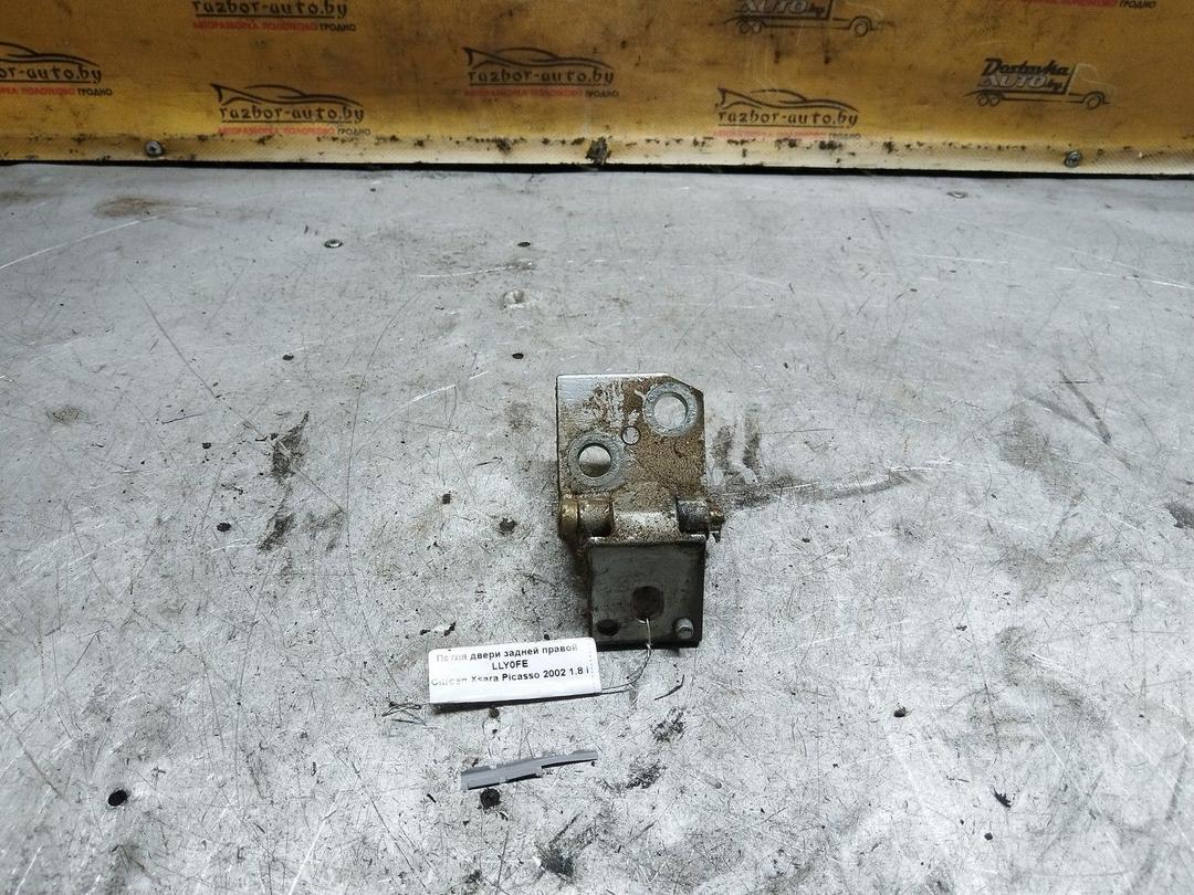 Петля двери задней правой LLY0FE Citroen Xsara Picasso купить