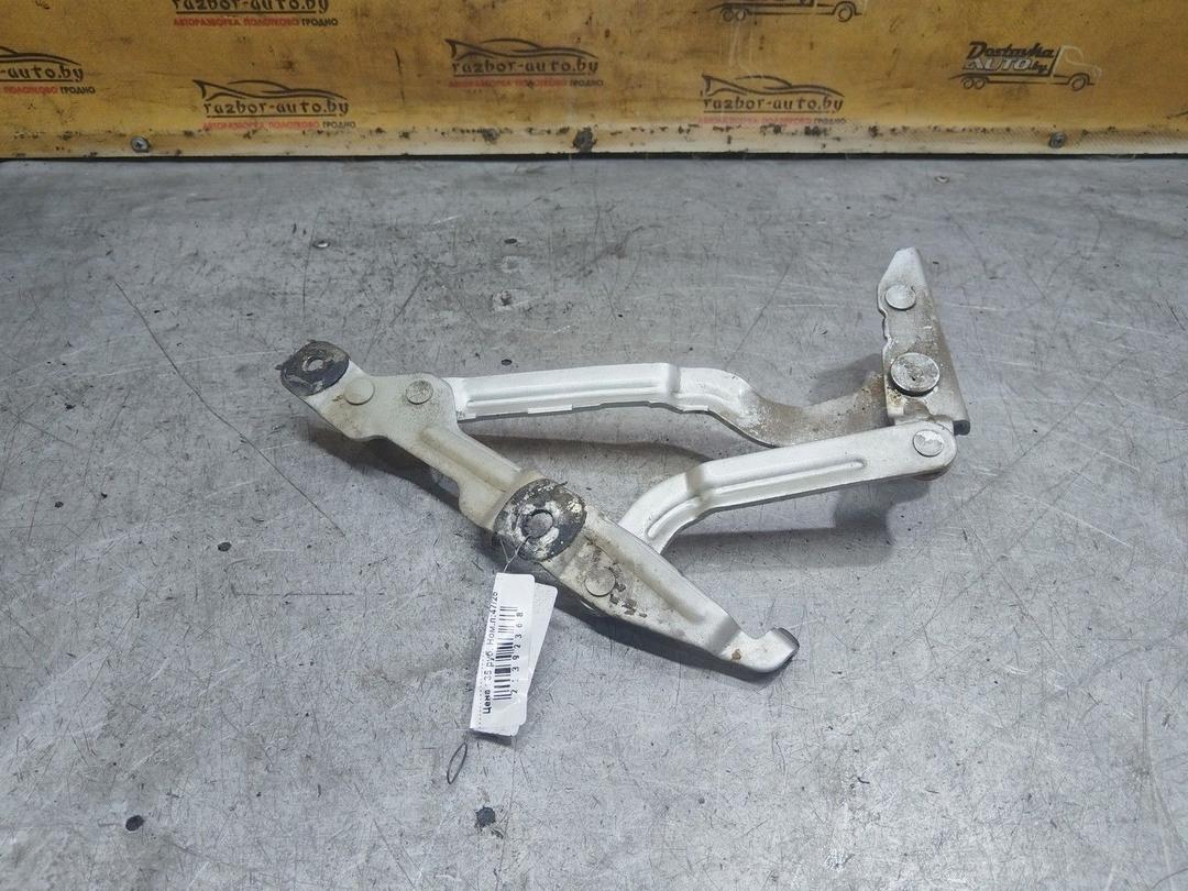 Петля крышки багажника SG84BX Volkswagen Passat купить с доставкой