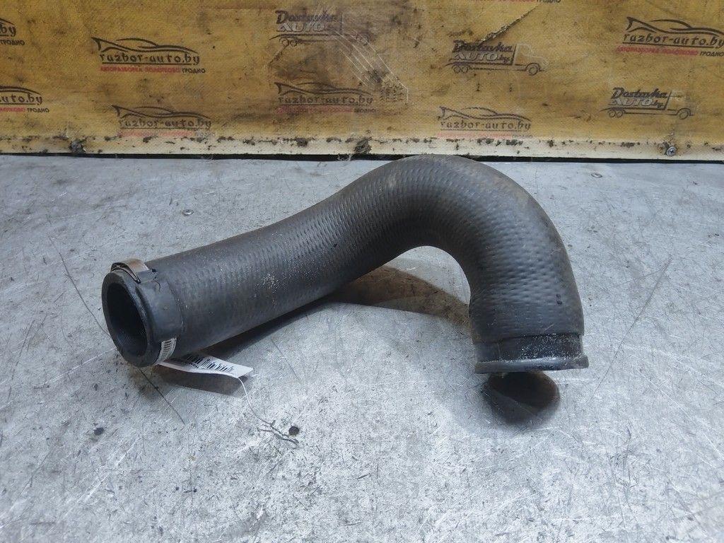 Патрубок интеркулера EHLUGC Citroen C5 - Фото 3