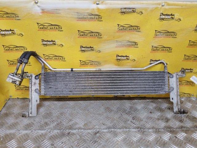 Радиатор масляный TWX0KU Opel Signum - Фото 1