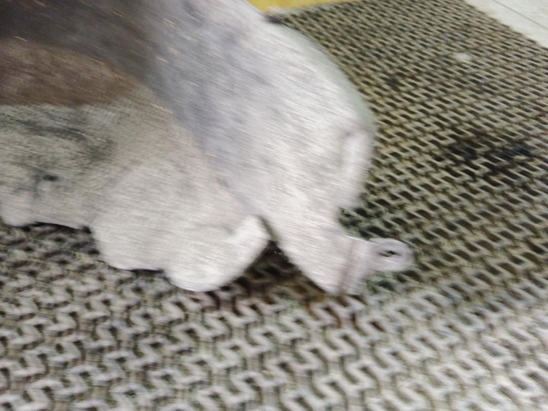 Защита арок задняя правая (подкрылок) 4GCRJZ Toyota Corolla купить на авторазборке