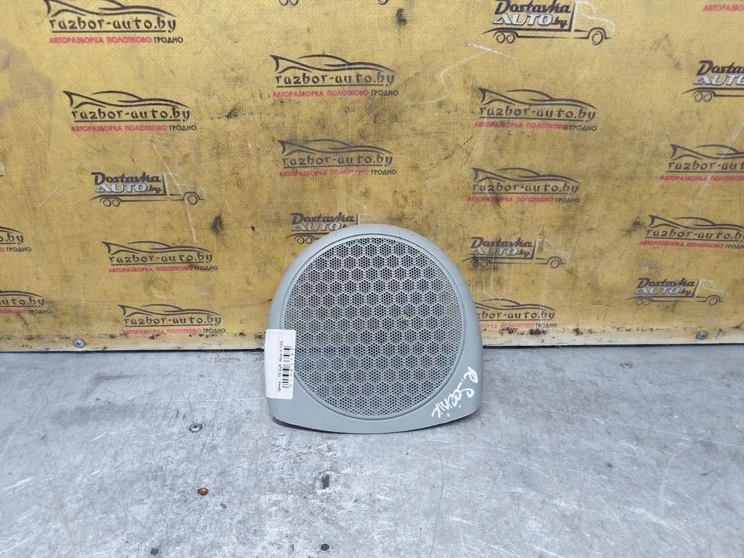 Сетка для динамика XTGN9M Renault Scenic