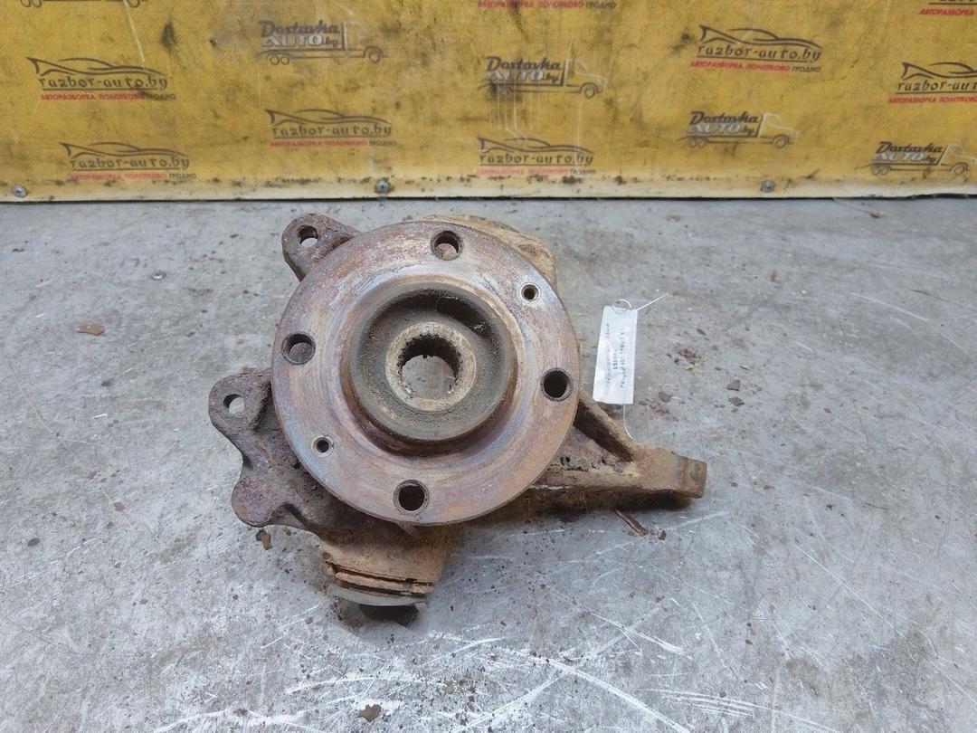 Кулак поворотный левый EB69KL Peugeot 406