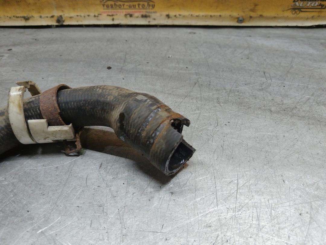 Патрубок радиатора IJBLB9 Mazda 3 купить