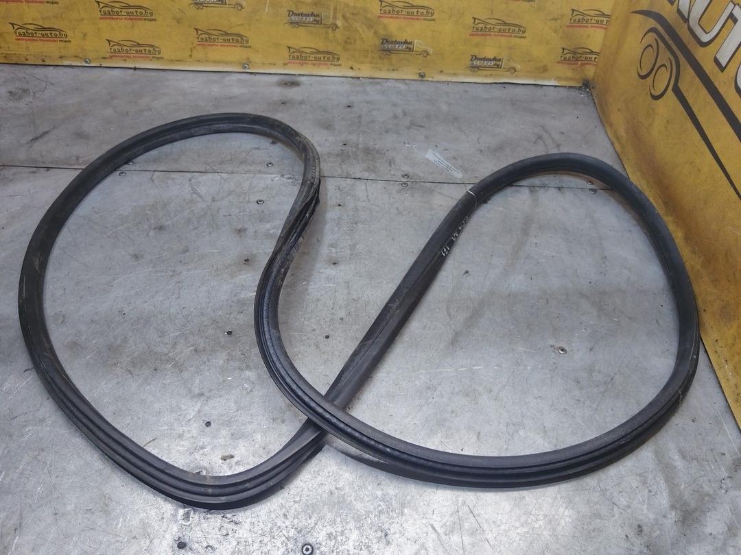 Уплотнитель двери задней левой U0XPKQ Citroen C4 - Фото 1