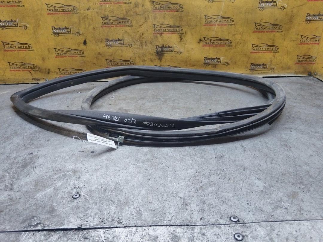 Уплотнитель двери задней правой K6BPRD Toyota Corolla купить