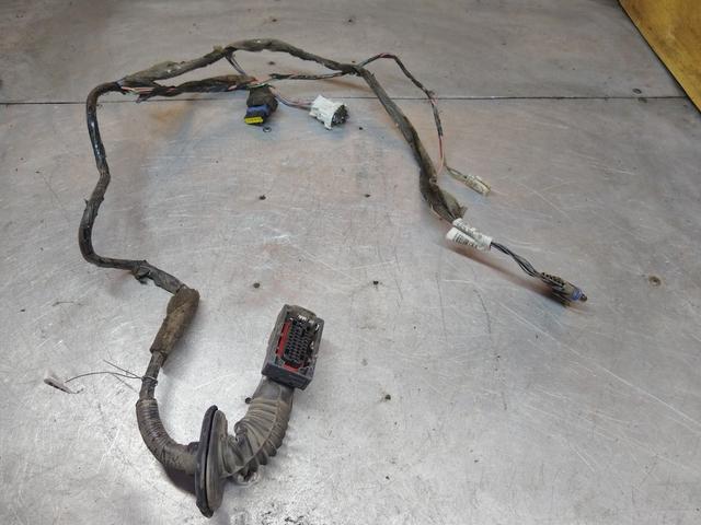 Проводка двери задней правой 0KWEO2 Renault Grand Scenic