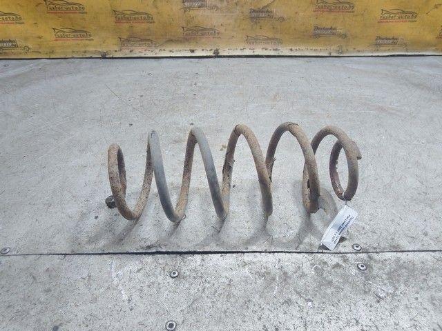 Пружина задняя VZ44DI Fiat Linea купить с доставкой