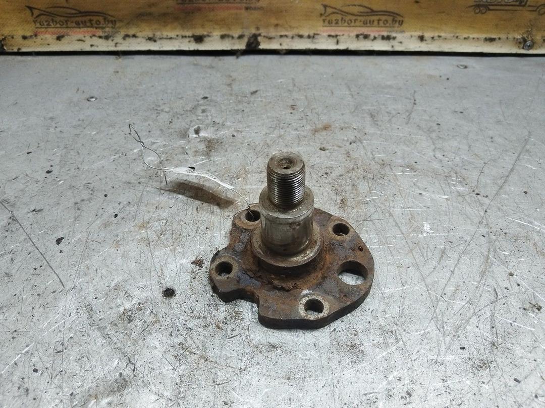 Цапфа задняя (ось ступицы) YG646X Audi A3 - Фото 1