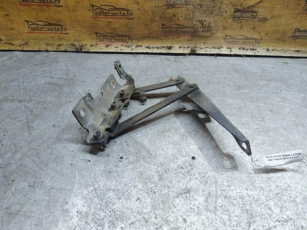 Петля капота правая LU7KEB Opel Insignia - Фото 3