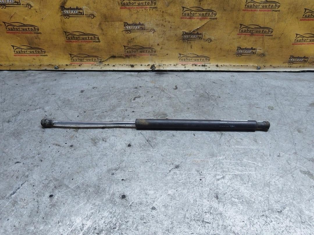 Амортизатор крышки багажника (3-5 двери) DANC40 Renault Laguna купить