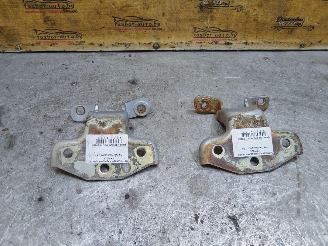 Петля двери передней левой YKW3LL Kia Carnival - Фото 1