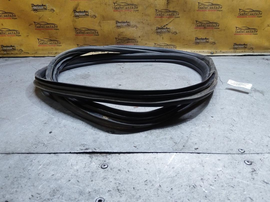 Уплотнитель двери задней левой DMTPWT Citroen C3 купить