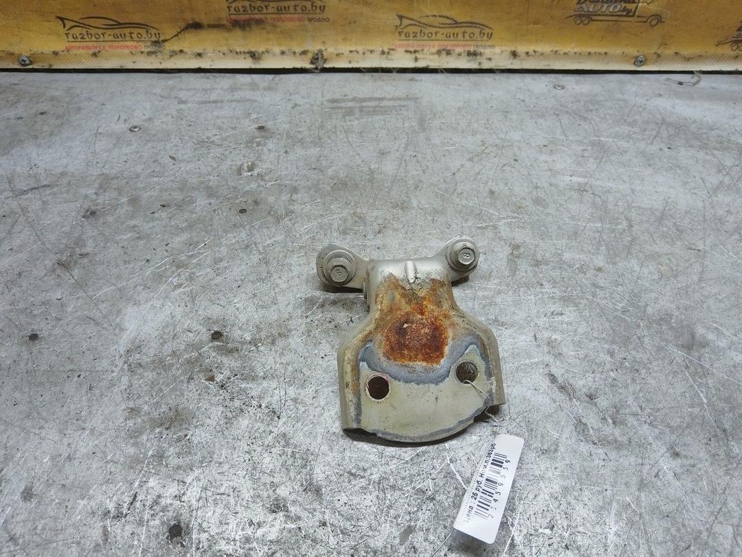 Петля двери передней левой E725J1 Daewoo Leganza купить