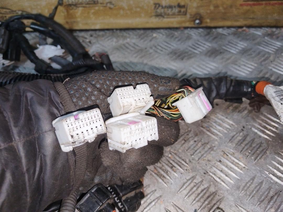 Проводка двигателя OIXDX9 Toyota Avensis купить с доставкой