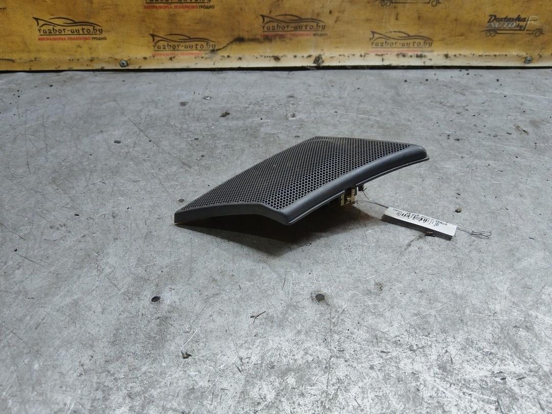 Динамик высокочастотный (пищалка) 6B1BPZ Renault Laguna купить