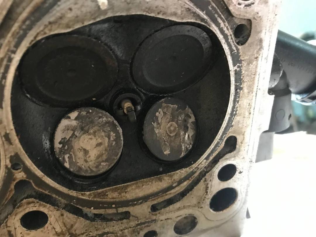 Головка блока цилиндров X1NOXX Volkswagen Passat undefined