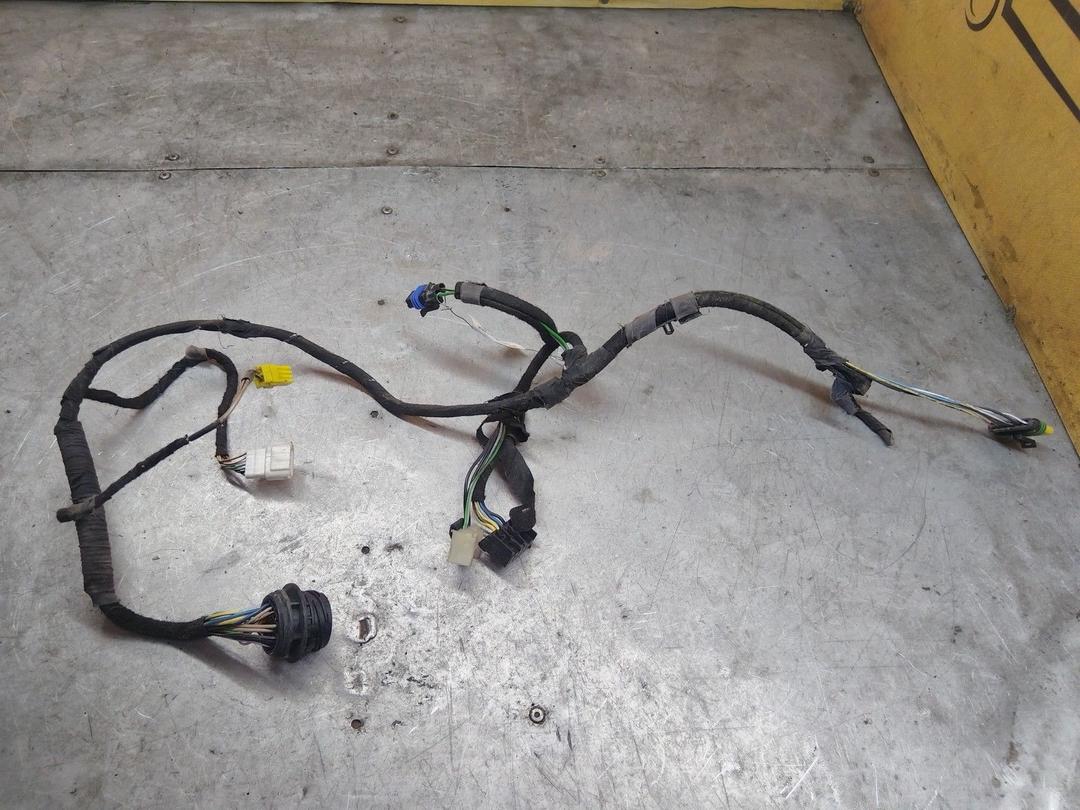 Проводка двери передней левой M2101Q Fiat Multipla купить