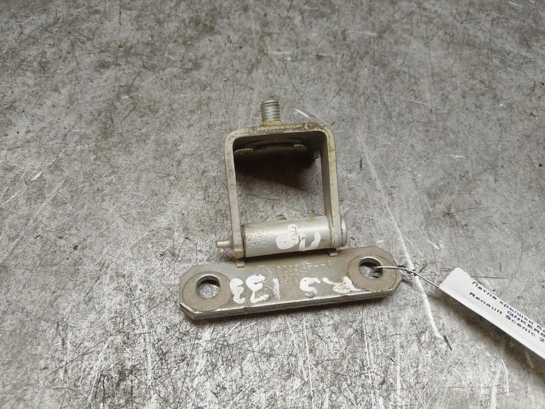 Петля крышки багажника QNKER8 Renault Scenic купить с доставкой. Огромный выбор запчастей и марок авто. У нас есть практически все.