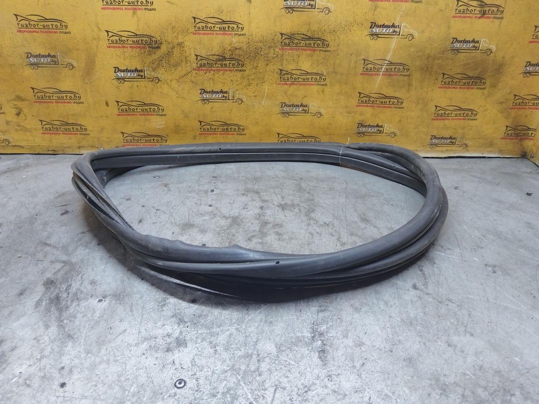 Уплотнитель двери задней левой 55Q4L5 Peugeot 307 купить