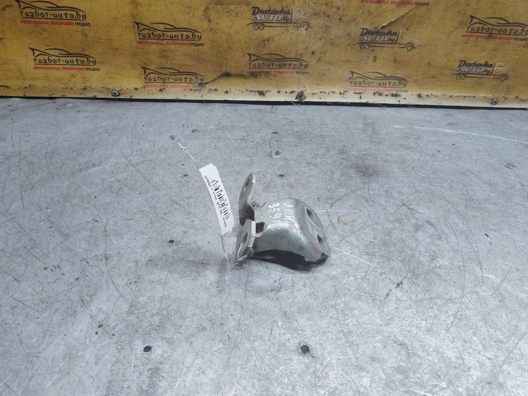 Петля двери задней правой RF993F Renault Laguna купить