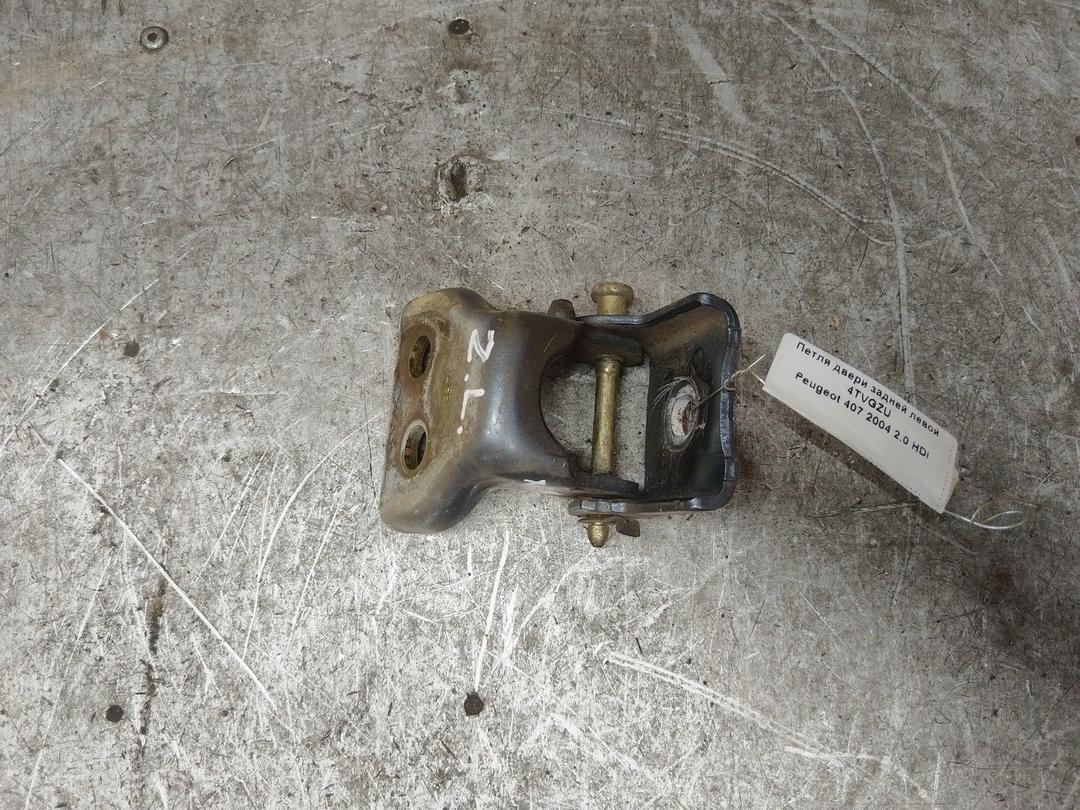 Петля двери задней левой 4TVGZU Peugeot 407 купить с доставкой