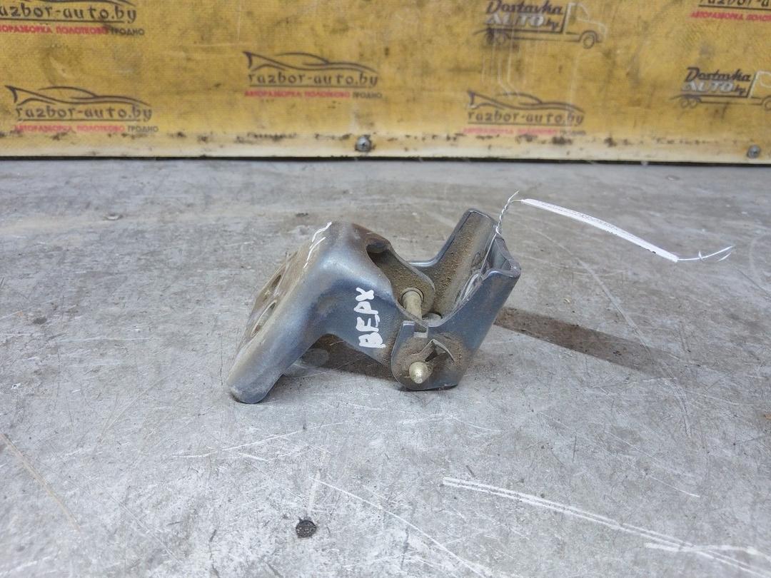 Петля двери задней левой 4TVGZU Peugeot 407 купить