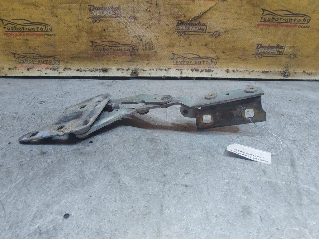 Петля капота левая SRR52A Citroen Xantia - Фото 2