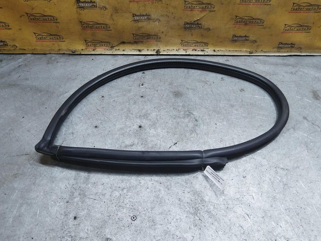 Уплотнитель двери задней левой RXHCWH Mitsubishi Carisma купить