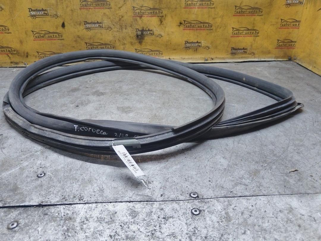 Уплотнитель двери задней правой K6BPRD Toyota Corolla купить в магазине запчастей бу