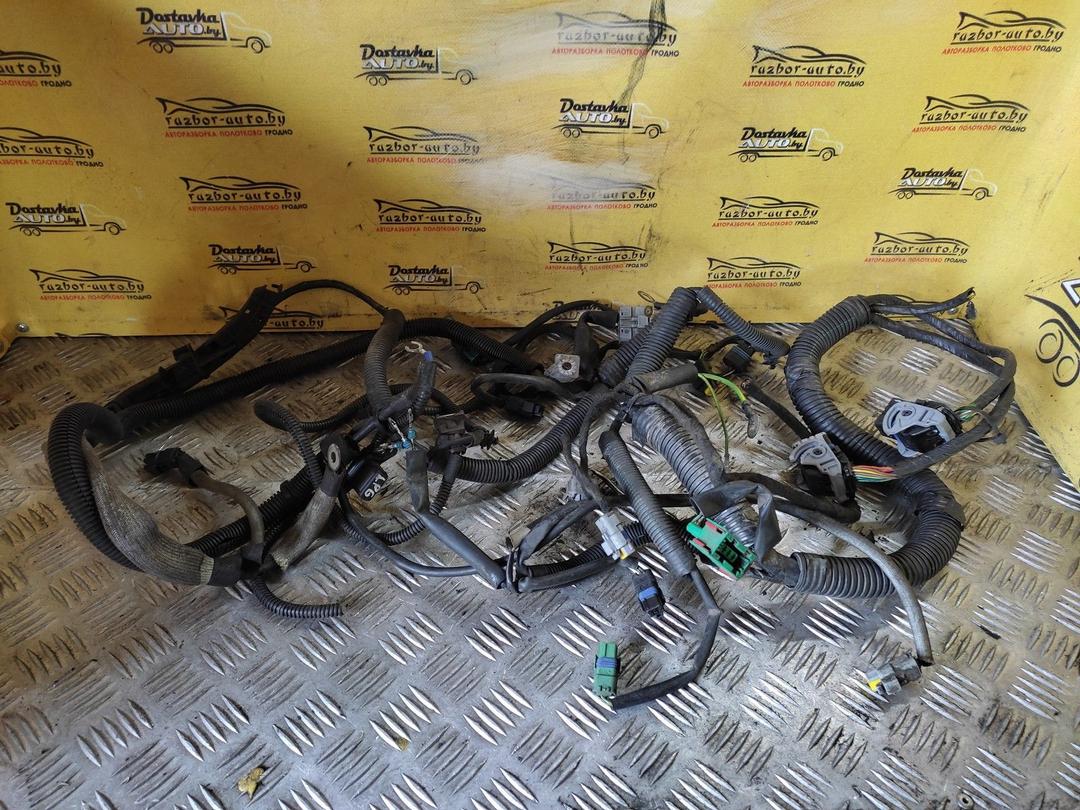 Проводка двигателя EKIEJE Citroen Xsara Picasso - Фото 1