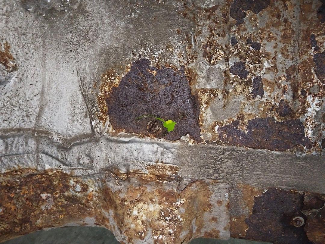 Крыло заднее левое DYNUNS Peugeot 307 - Фото 5