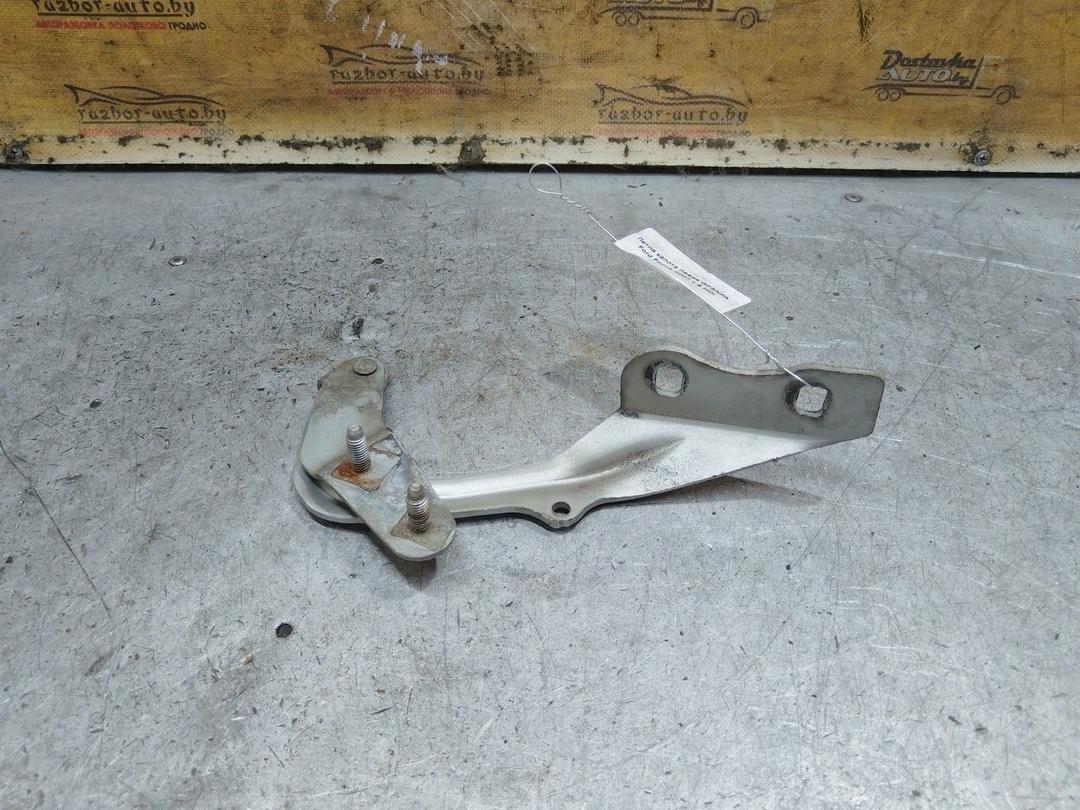 Петля капота левая GFSNPA Ford Focus - Фото 1