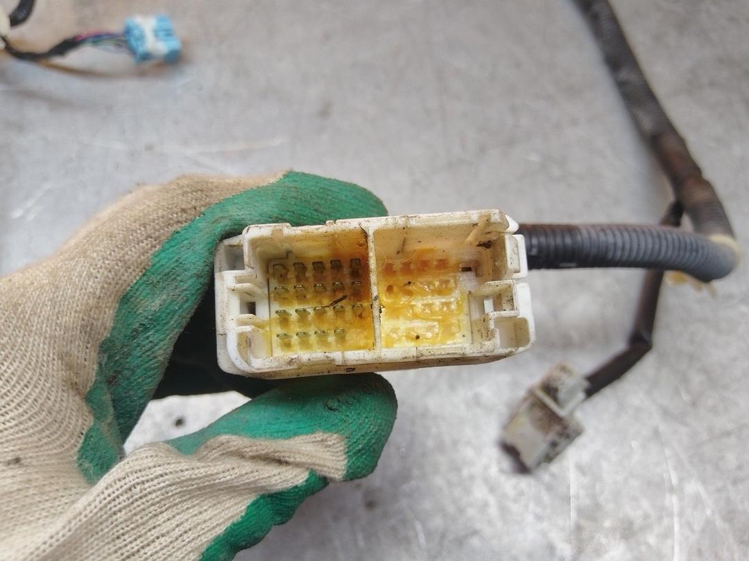 Проводка двери передней правой 1Y3EY6 Honda Accord купить с доставкой