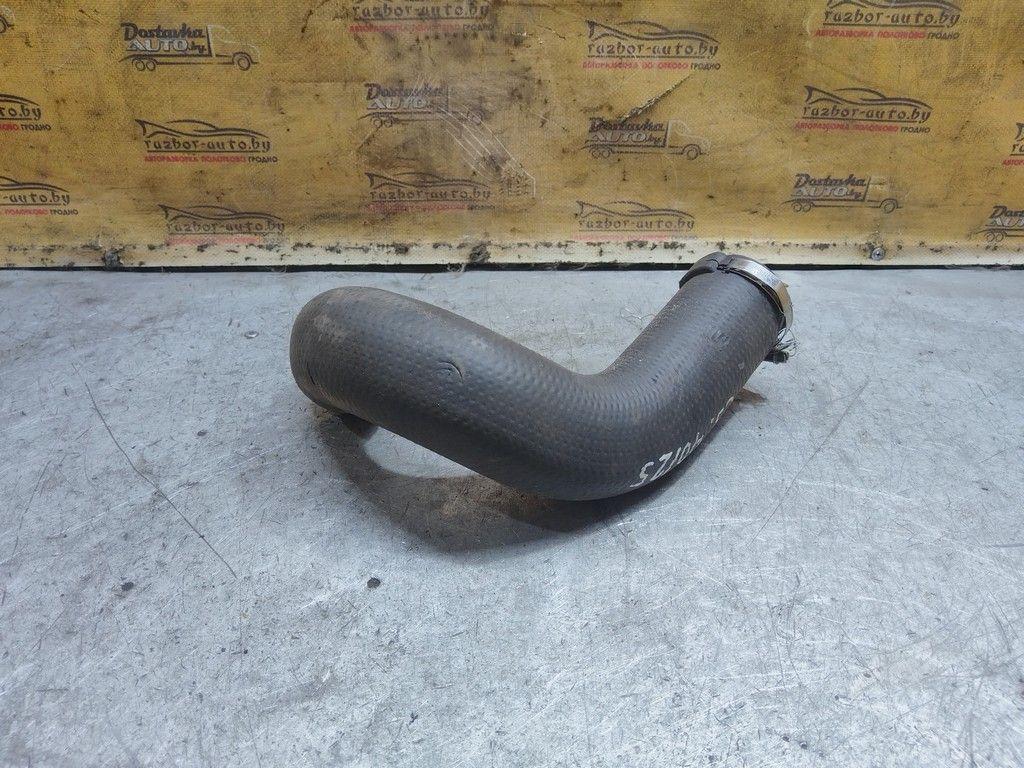 Патрубок интеркулера EHLUGC Citroen C5 - Фото 5