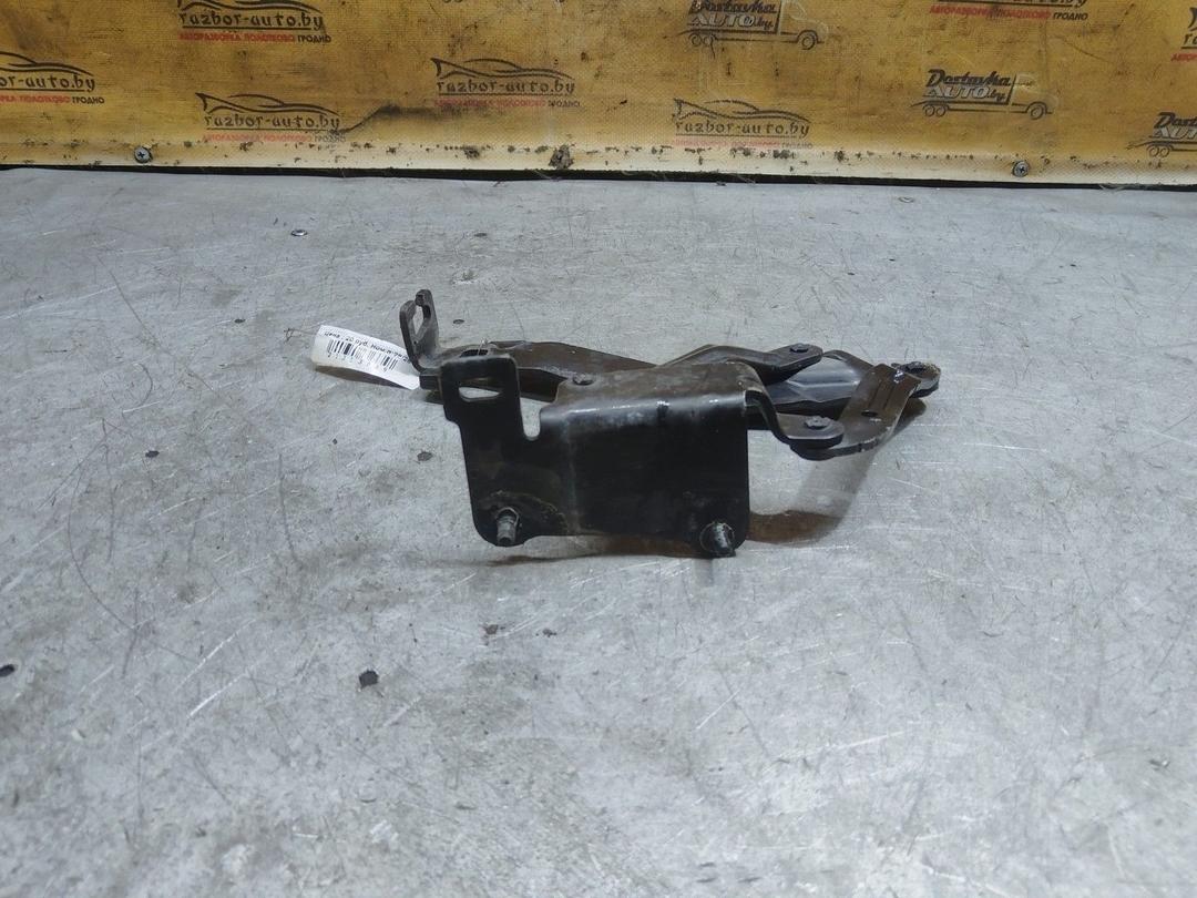 Петля капота правая V356A3 Renault Scenic купить с доставкой